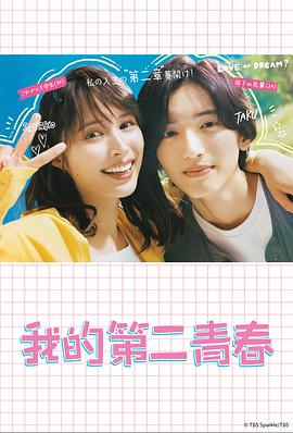 SEO优化软件挣钱文案